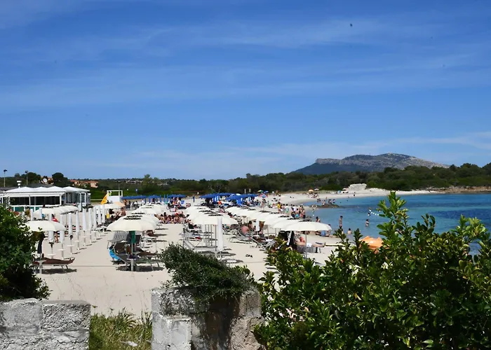 Sulla Indipendente *